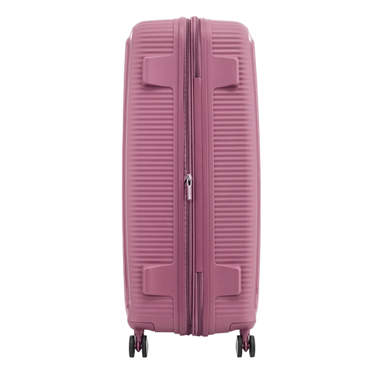 American Tourister Curio