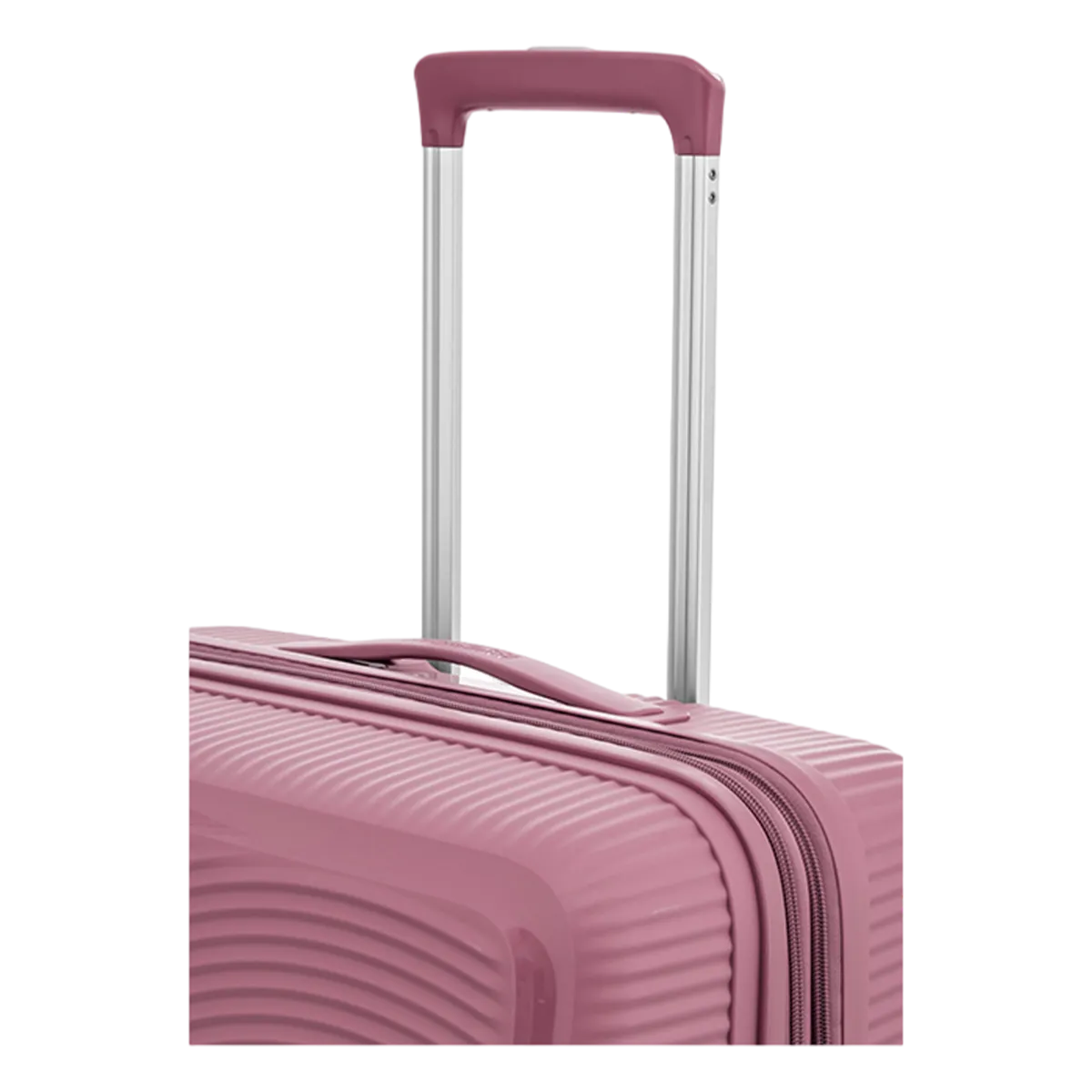 American Tourister Curio