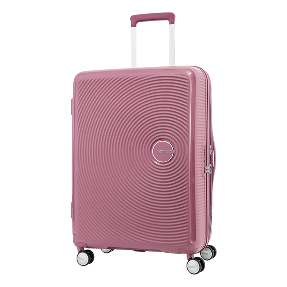 American Tourister Curio