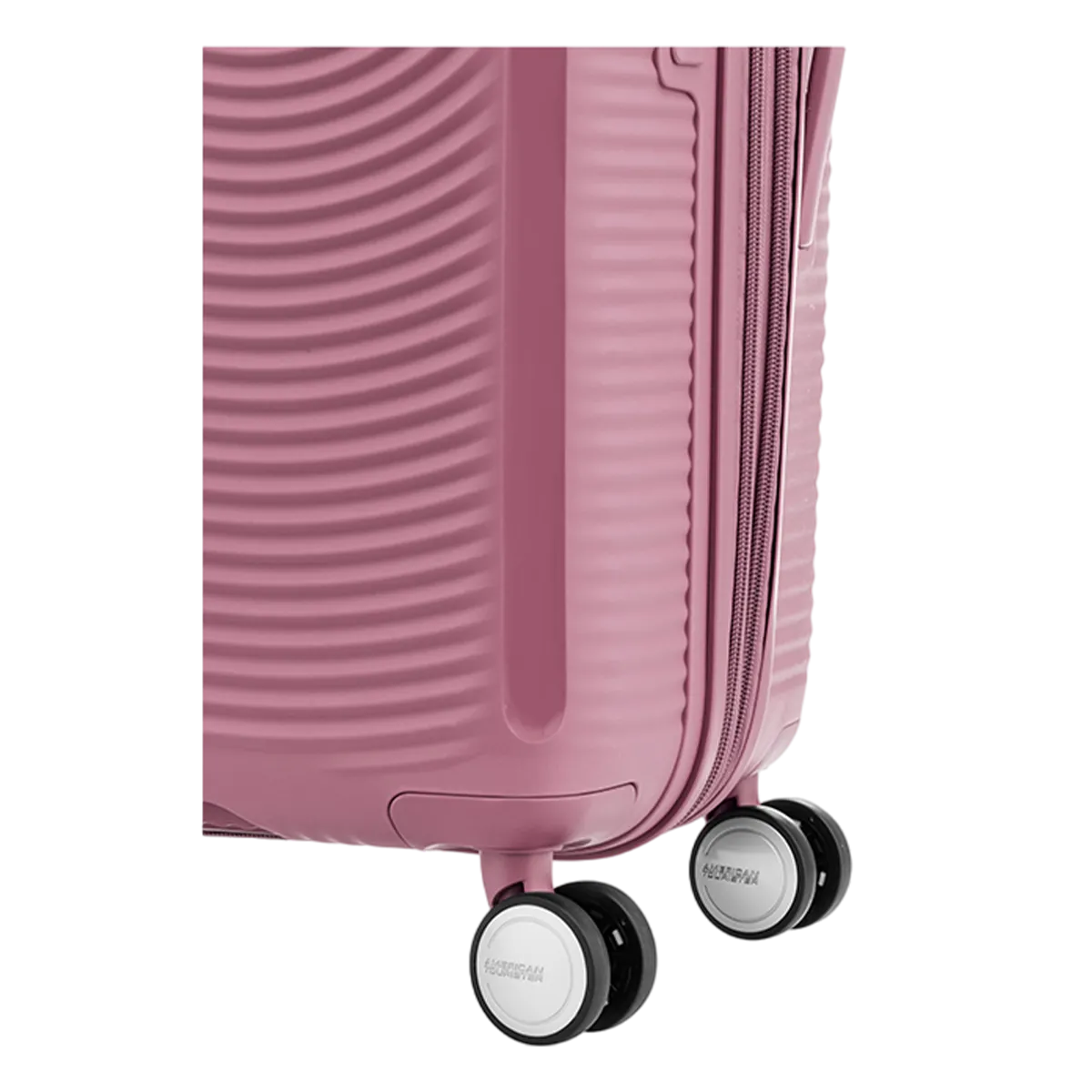 American Tourister Curio