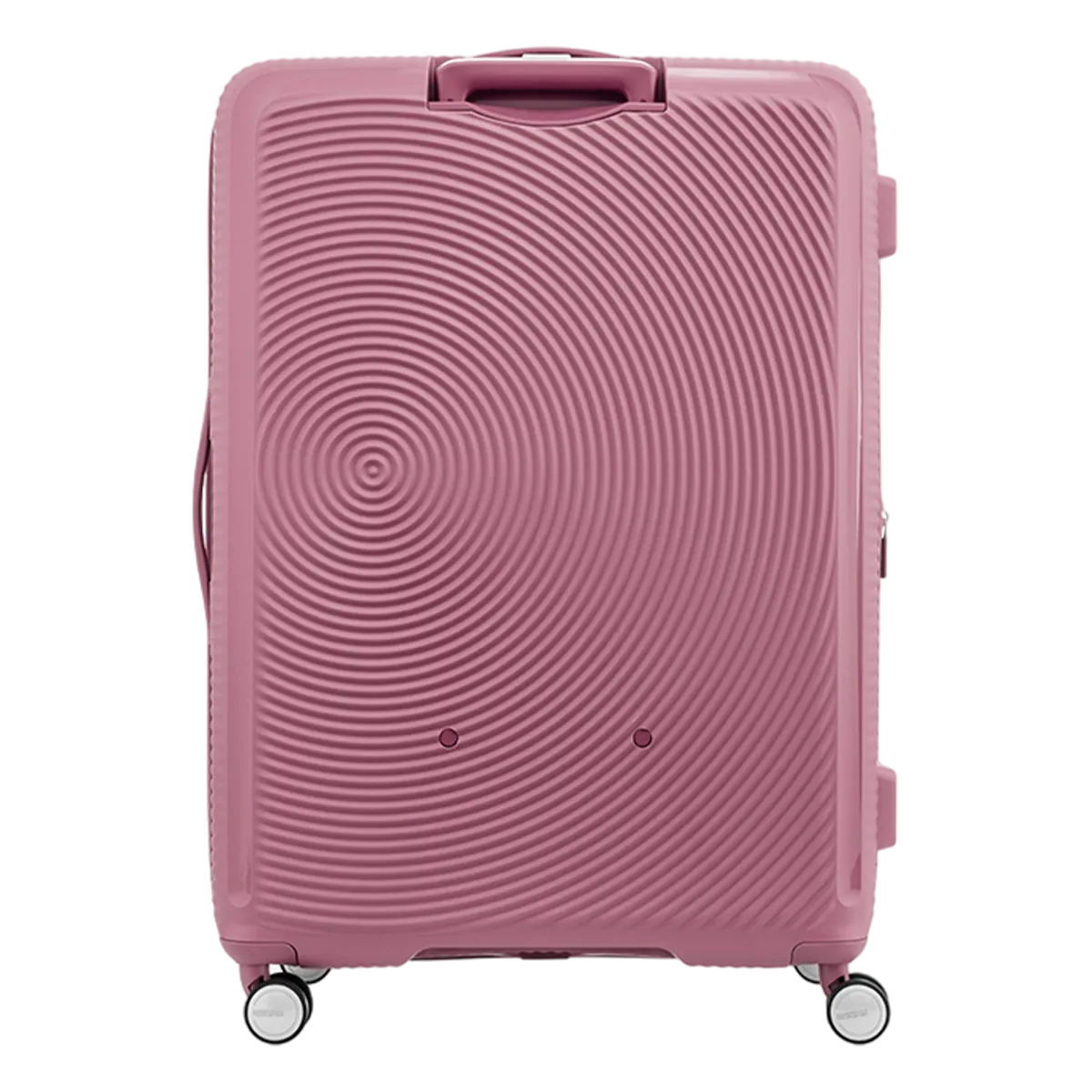 American Tourister Curio