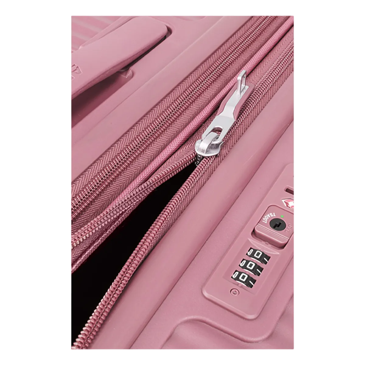 American Tourister Curio