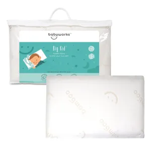 Babyworks - Big Kid Toddler Pillow