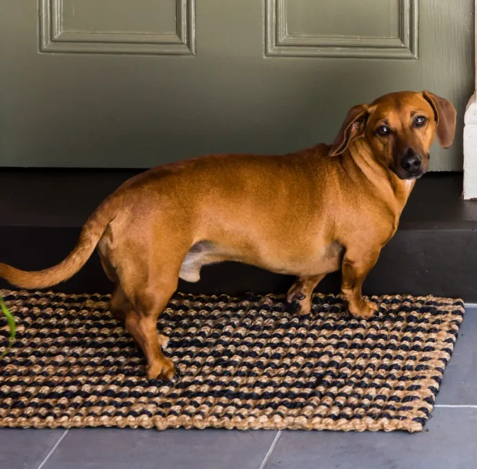 Caravan Jute Striped Doormat