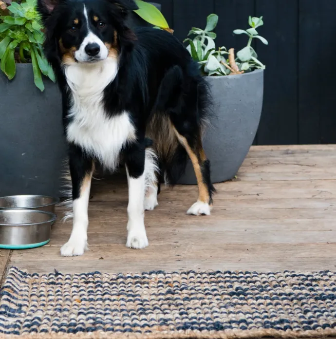 Caravan Jute Striped Doormat