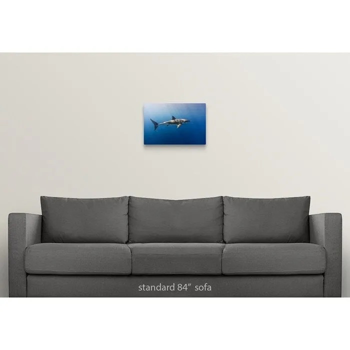 "A beautiful great white shark gliding gracefully by." Canvas Wall Art
