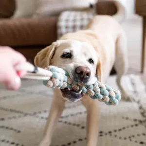 ZIPPY PAWS Ecozippy Cotton & Jute Tug Earth Friendly dog Toy