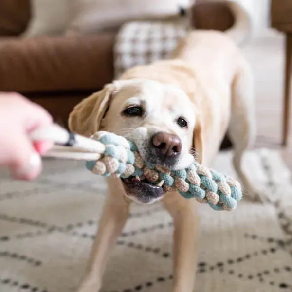 ZIPPY PAWS Ecozippy Cotton & Jute Tug Earth Friendly dog Toy